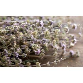 Menthe Pouliot Grecque - 40g - Kalios