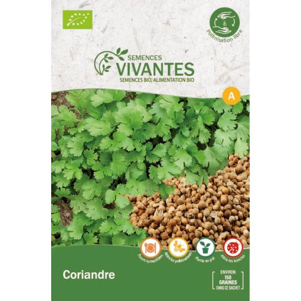 Graines de Coriandre Bio - Sachet de 150 graines à planter - Semences Vivantes