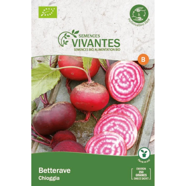 Graines de Betterave Chioggia - Sachet de 250 graines à planter - Semences Vivantes