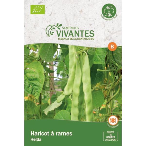 Graines de Haricot à rames Bio (Helda) - Sachet de 15 graines à planter - Semences Vivantes