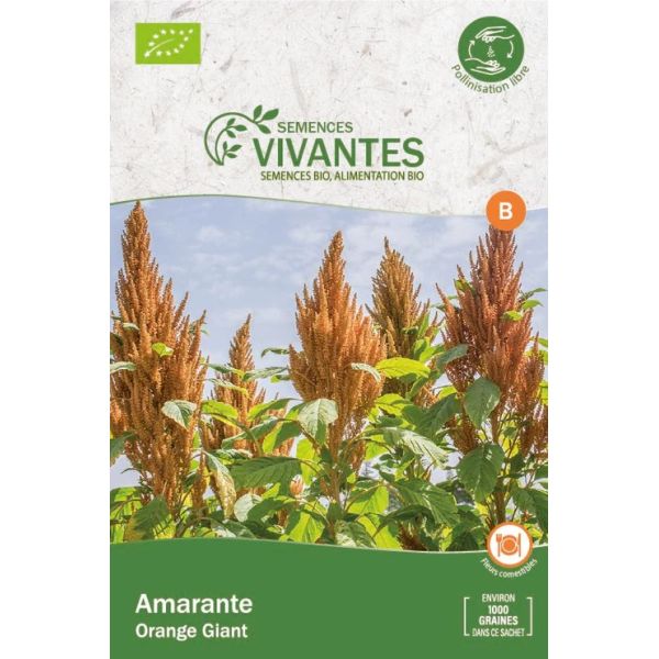 Graines de Amarante Bio (orange Giant) - Sachet de 1000 graines à planter - Semences Vivantes